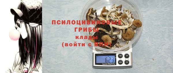 гидра Балахна