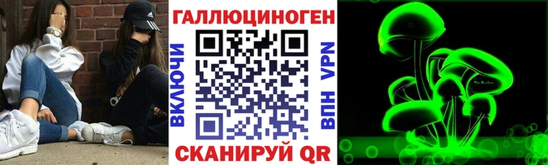 что такое наркотик  Родники  Псилоцибиновые грибы Magic Shrooms 